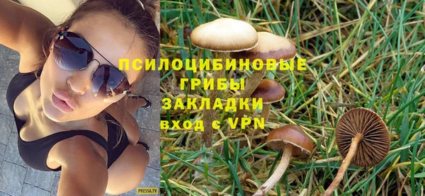 а пвп мука Армянск