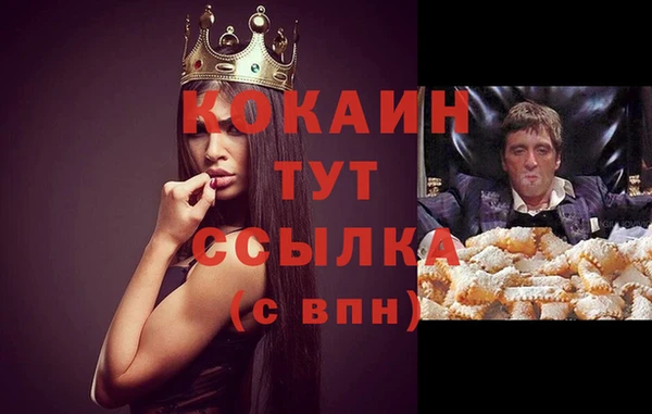 дмт Арсеньев
