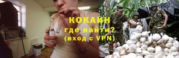 дмт Арсеньев