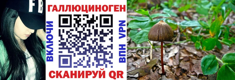Купить  Всеволожск  Галлюциногенные грибы Magic Shrooms 