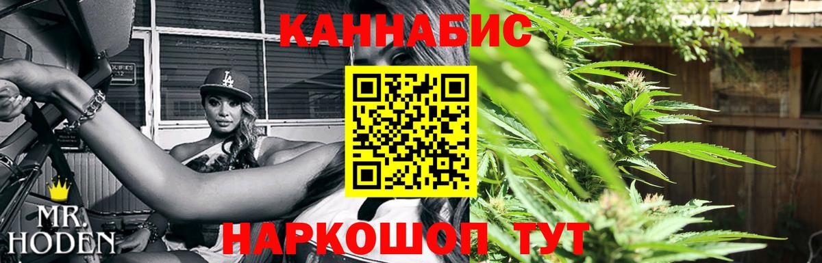 Бошки марихуана конопля  МАРИХУАНА White Widow  Всеволожск  Канабис планчик 